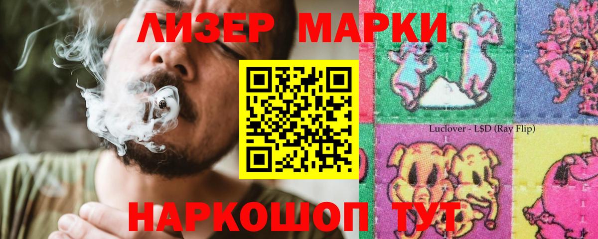Галлюциногенные грибы Мирный